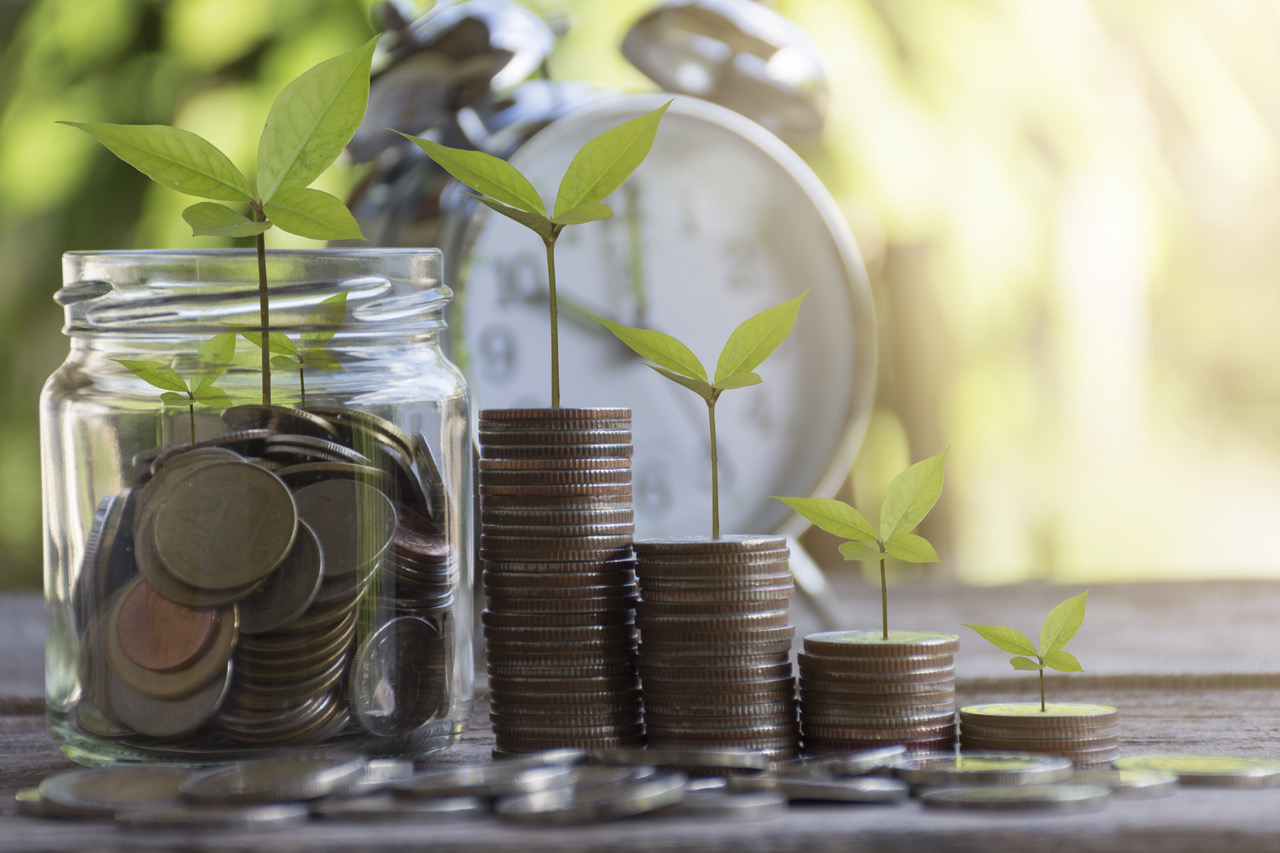 Priča o prirodi - investitori imaju svoju vlast?